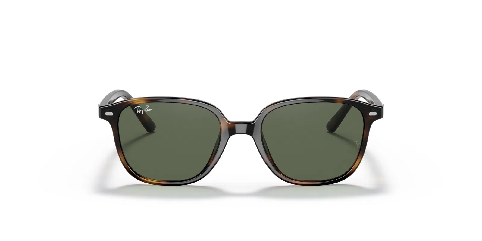 Ray-Ban Kids Leonard Jr 0RJ9093S Sunglasses - view 50